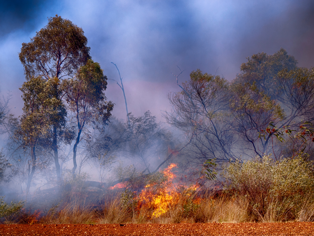 Photo of a bushfire